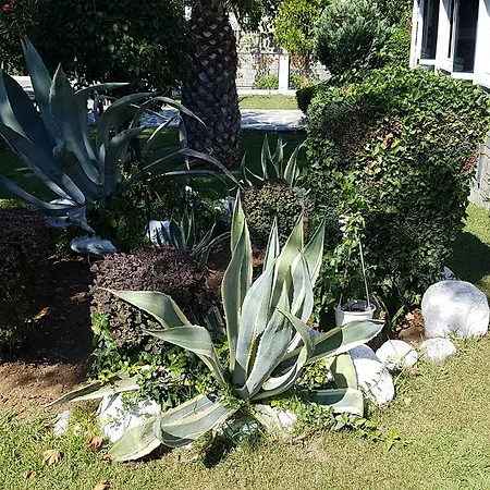 Athina ホテル アスプロヴァルタ