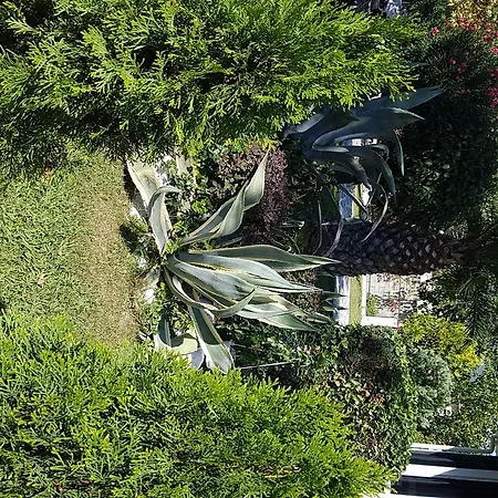 Hotel Athina Asprovalta